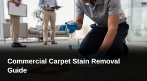 Why Do Commercial Carpets Need Special Stain Care, Commercial Carpet Stain Removal Guide